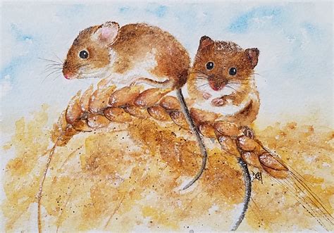 Watercolor Field Mice Watercolors By Donnell Anderson