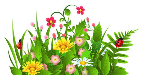 Spring Flowers Borders Clipart Free Download On Clipartmag