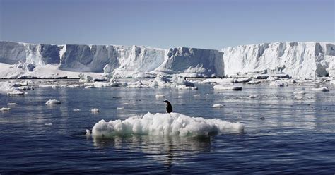 Global Warming Climate Change Arctic Sea Ice Melts To Eighth Lowest Level
