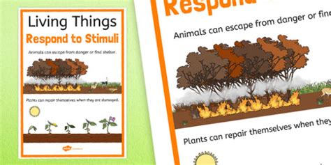 Living Things Respond To Stimuli Display Poster
