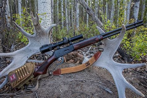 8 Great Cartridges For Bear Hunting