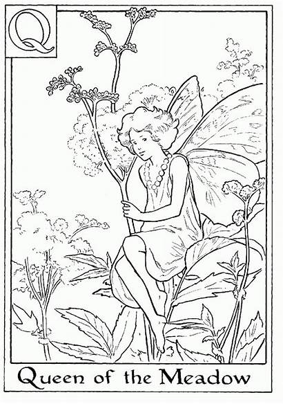 Fairies Fairy Coloring Pages Flower Alphabet Sheets
