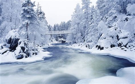 Winter Schnee Natur - lewdrpdetailed prefereddefinite dom winter schnee ...