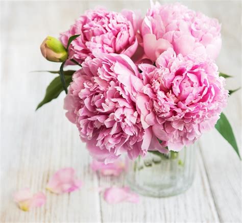 Premium Photo Pink Peony Flowers