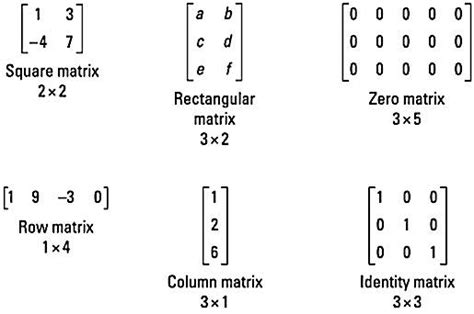Identifying Types Of Matrices Dummies