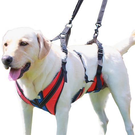 Walkin Pets Lift N Step Dog Harness For Full Body Support Red X