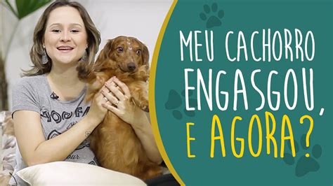 Meu Cachorro Faz Um Barulho Estranho Como Se Estivesse Engasgado