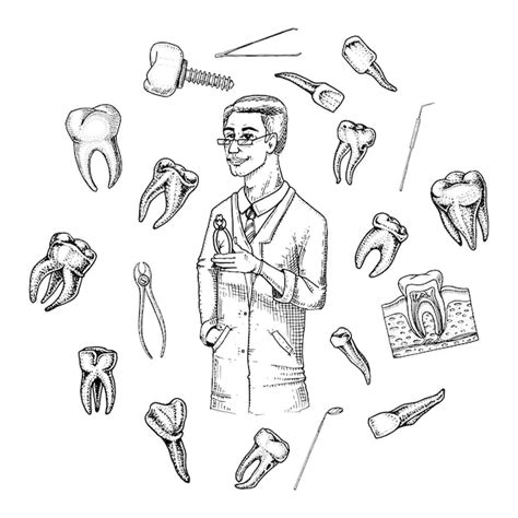 Premium Vector Molar Teeth Enamel Dental Set Instruments Equipment Of