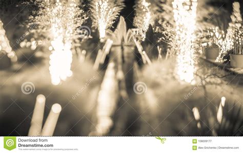 32 n main st, belmont. Christmas Light Bokeh At Daniel Stowe Gardens Belmont North Carolina Stock Image - Image of ...