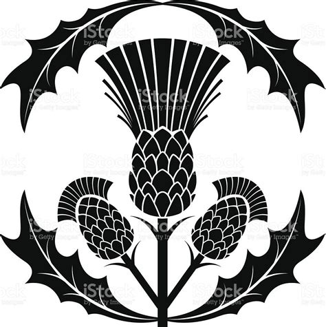Simple Thistle Silhouette Vector Illustration Royalty Free Stock Vector