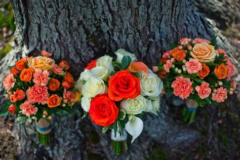 Come with 8 long flexible wired stems, which is easy to install, bend or trim. Orange and coral wedding bouquets | Coral wedding, Coral ...