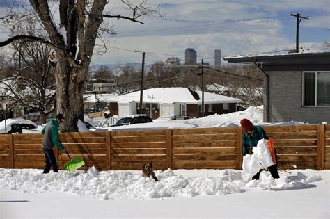 Photos A Day After Massive Snowstorm Denver And The Front Range Dig