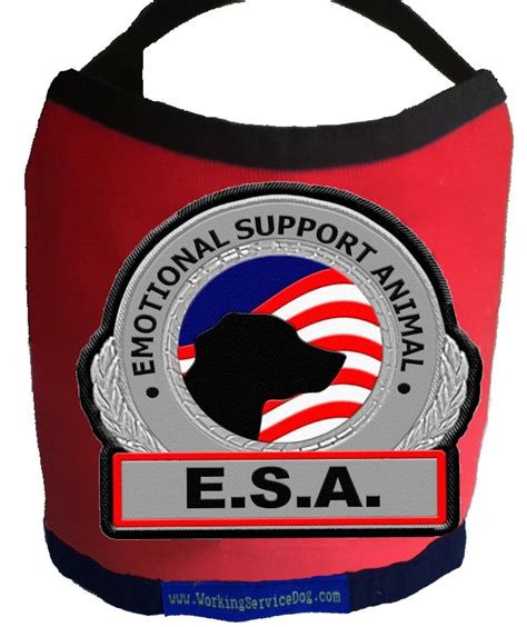 Unless you really want these products, it is not required. Premium Emotional Support Dog Vest For Smaller Dogs