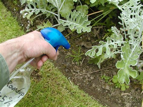 Get rid of pesky weeds from your garden without nasty chemicals and preserve the quality of your soil and crops at the same time with these 11 genius ways. 6 Ways to Get Rid of Weeds in Your Garden