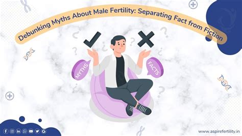 debunking myths about male fertility separating fact from fiction
