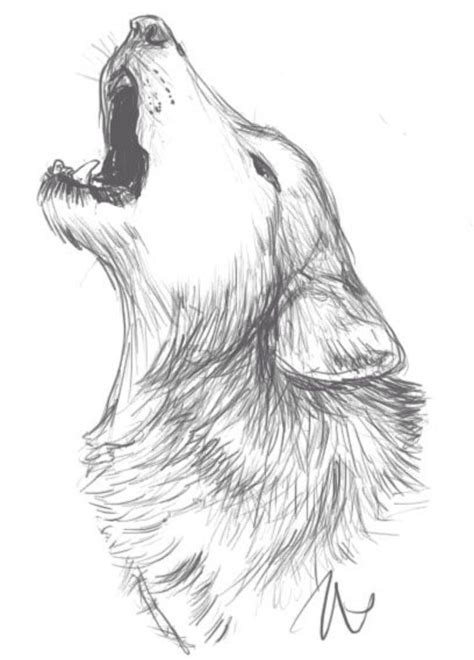 Wolf Drawing Idea Wolf Sketch Animal Drawings Art Drawings Sketches