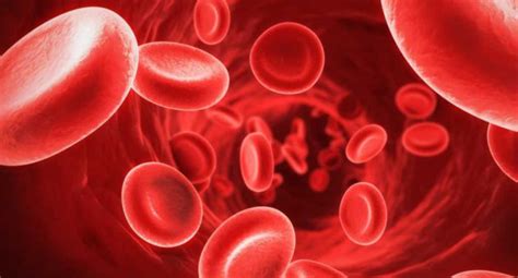 Puncanya mungkin akibat kesan sampingan ubat tertentu; 3 Fungsi Sel Darah Merah bagi Tubuh (Paling Penting)