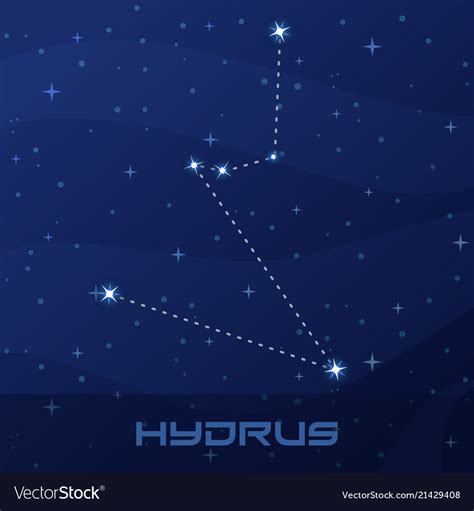 Constellation Hydrus Water Snake Royalty Free Vector Image
