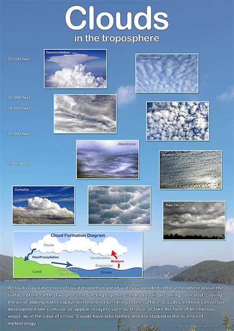 Cloud Formations Poster Clouds In The Troposphere Cloud Structures