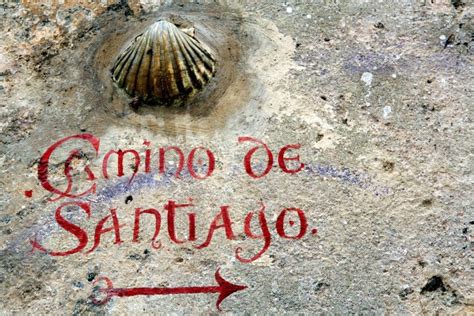 Cinco SÍmbolos Del Camino De Santiago Infovaticana