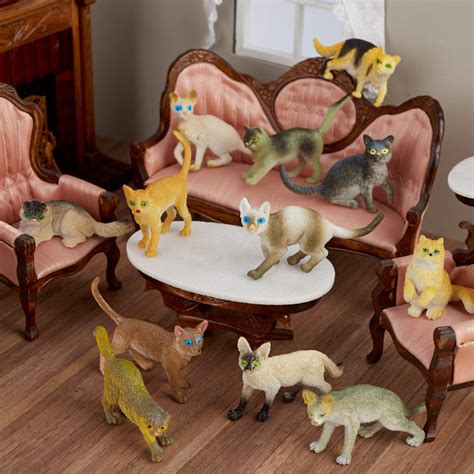 32 Miniature Ragdoll Cats For Sale Furry Kittens