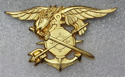 Military Freefall Badge Of South Korea Udt Seal Forestgerty