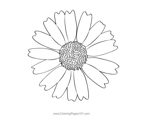 Chrysanthemum Flower Coloring Page For Kids Free Chrysanthemums