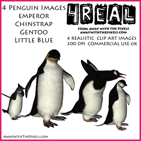 Emperor Penguin Clipart Clip Art Library