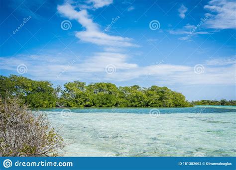 View Of Noronqui Cay At Los Roques National Park Stock Photo Image Of