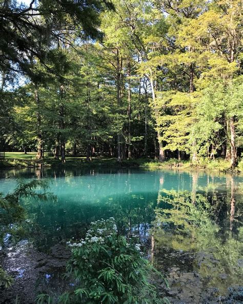 Blue Spring At Florida Caverns State Park Is One Of Best Kept Secrets