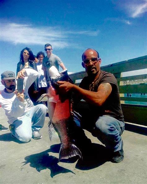 It had been 9 years since i fished at the pier but finally came out with my amigo (wc_fishing760) and had a good time! California Sheephead - Pier Fishing in California