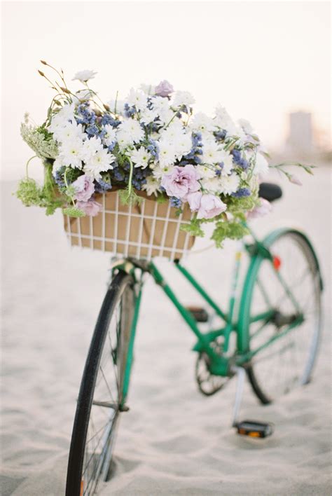 Find the perfect bike basket flowers stock photos and editorial news pictures from getty images. Vintage Photo of a woman about to take her beloved Scottie ...