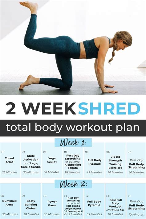 2 Week Shred Free Workout Challenge Body Workout Plan Total Body