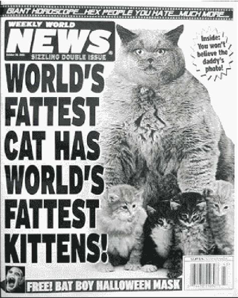 9 Crazy Tabloid Headlines About Cats
