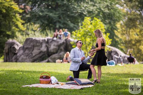 Central Park Picnic Proposal Vladleto