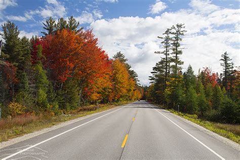 10 Best Fall Foliage New England Road Trip Itineraries