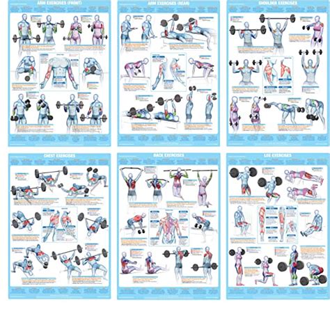 Weight Training Exercise Chart Series Uk Office Products