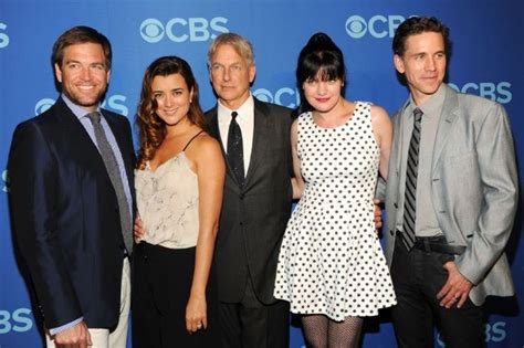 All We Know About Ncis Pauley Perrette And Mark Harmons Feud Story News