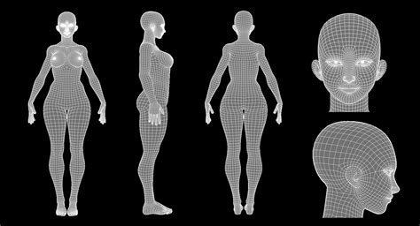 Female Stylistic Base Body Character 3d Model Turbosquid 1217382 Female Torso Model 3d Model