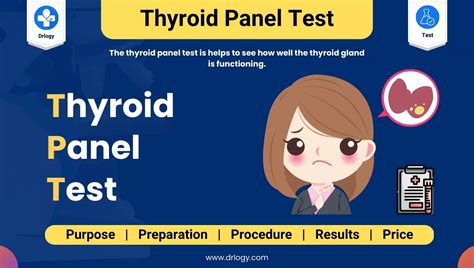 What Is The Difference Between Tsh And Thyroid Panel