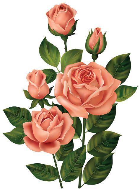 Use them in commercial designs under lifetime, perpetual & worldwide rights. Roses_PNG_Clipart_Image-455354616.png (3696×5000) | Flower ...