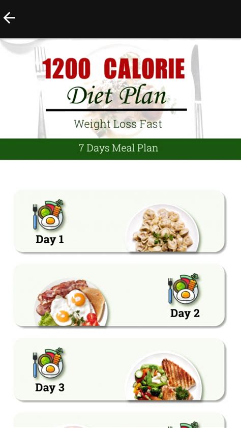 4000 Calorie Meal Plan Pdf Template