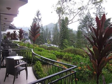 You'll find all sorts of hotels here like backpacker hostels, capsule hotels, resorts in the jungle, british try ask for room with garden view. Cameron Highlands Resort | Cameron highlands, Trip advisor ...
