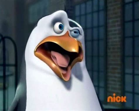 #penguin #stereoscopic #madagascar #madagascar 3 #amazoncom. Rico :-) - Rico:The Penguins Of Madagascar Photo (25561608 ...