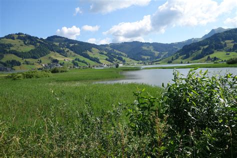Er wird von der sihl durchflossen und durch der see weist eine fläche von 10,72 km² auf und ist damit der flächenmässig grösste stausee der. Sihlsee Foto & Bild | landschaft, bach, fluss & see, see ...