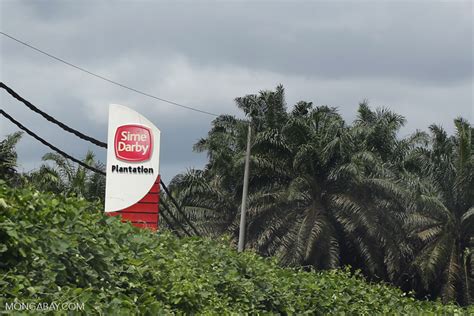 The company operates through upstream malaysia, upstream indonesia, upstream papua new guinea and solomon islands, downstream, and other operations segments. Sime Darby Plantation