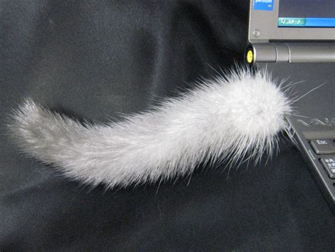 Usb Cat Tail Boing Boing