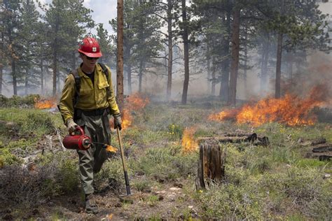 Weather And The Prescribed Burn Plan Northern Colorado Fireshed