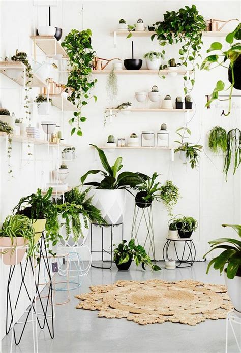 25 Best Indoor Garden Ideas For Your Home In Small Spaces Page 7 Of 26