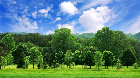 Beautiful Summer Landscape Mac Wallpaper Download Allmacwallpaper